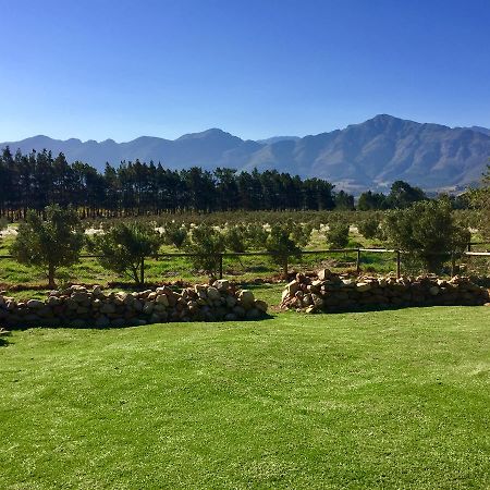 Olive Cottage Franschhoek Eksteriør bilde