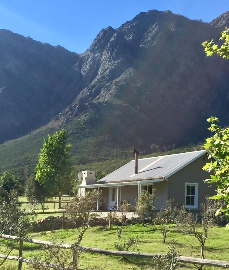 Olive Cottage Franschhoek Eksteriør bilde