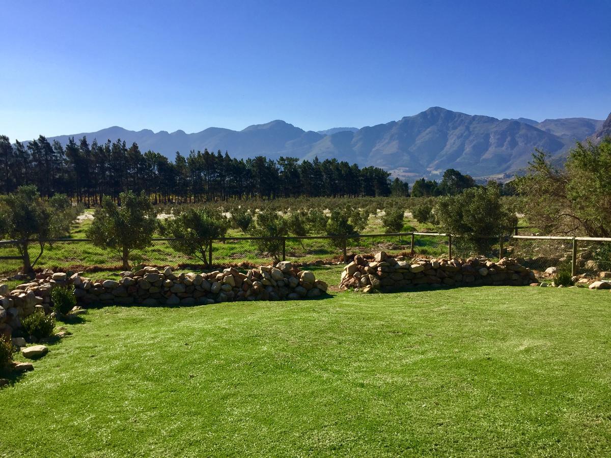 Olive Cottage Franschhoek Eksteriør bilde
